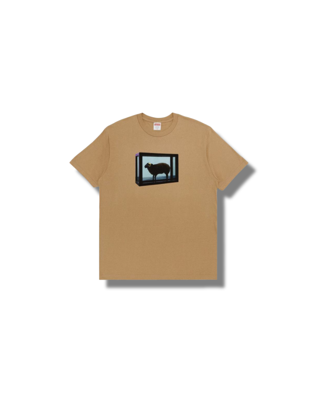 Supreme “Damien Hirst Brown Tee”