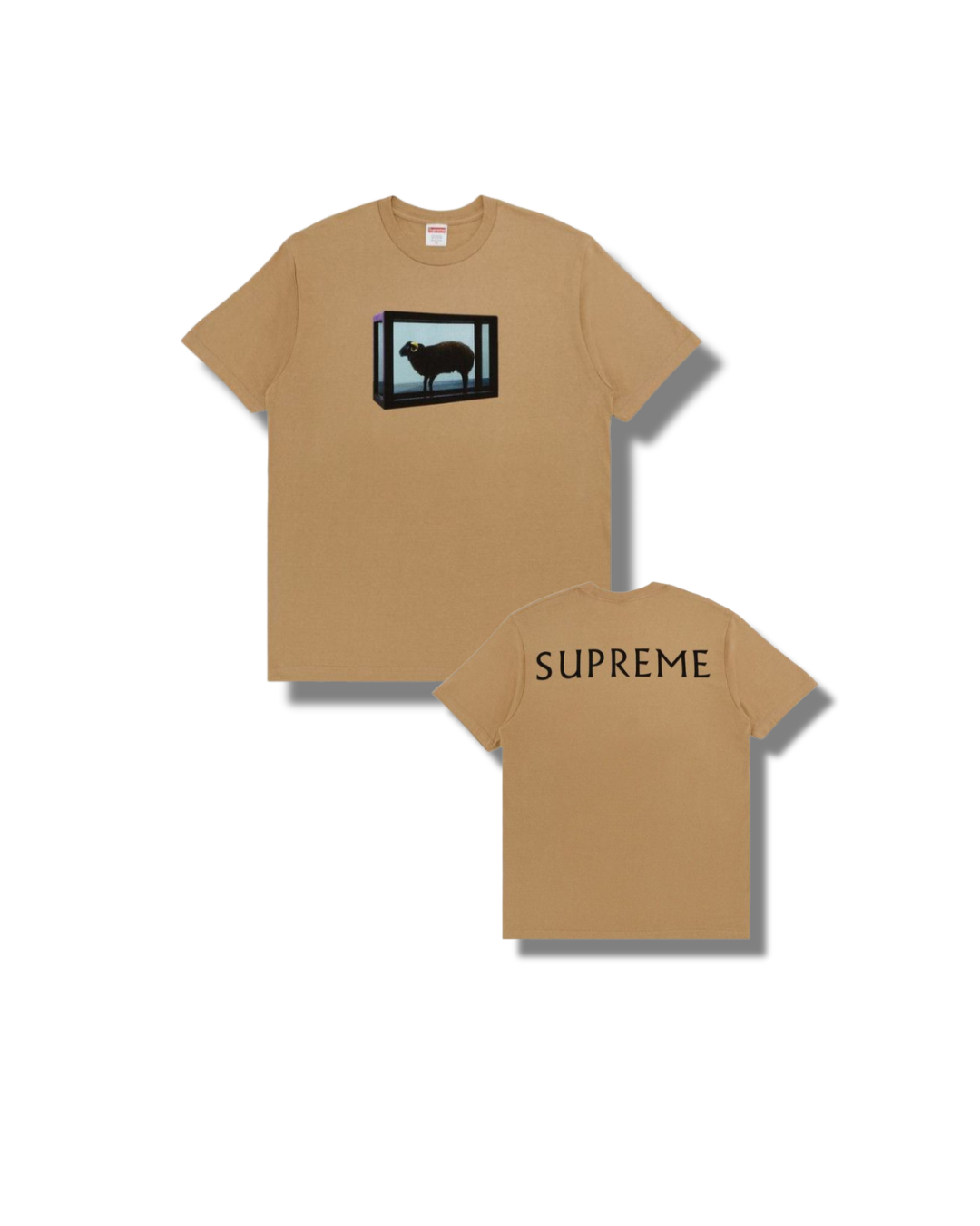 Supreme “Damien Hirst Brown Tee”